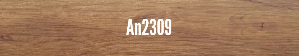 An2309